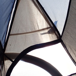 silhouette of a little bird perched on a tent, photographed from inside the tent itself