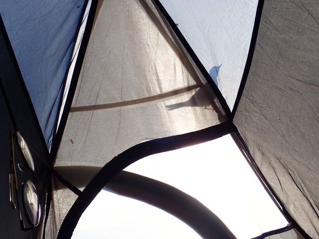 silhouette of a little bird perched on a tent, photographed from inside the tent itself