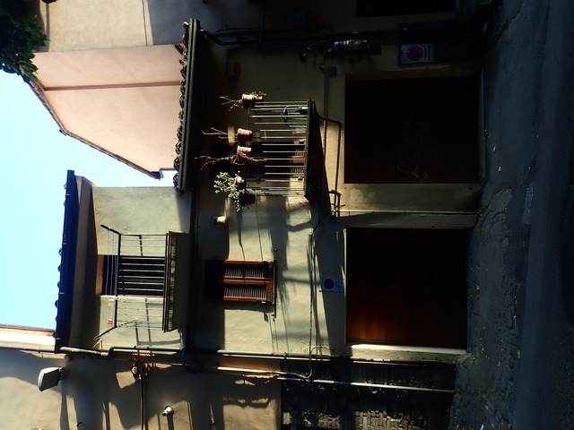 ordinary house in very oblique summer evening light; on one of the two balconies there are some plants, some of which dry